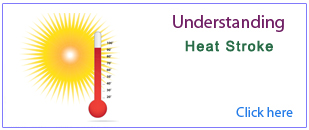 PPT on Heat Stroke