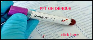 PPT ON DENGUE FEVER